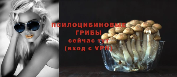 бошки Абдулино