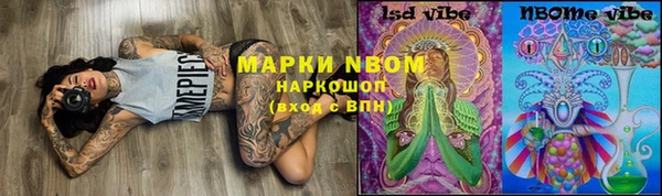 дмт Алексин
