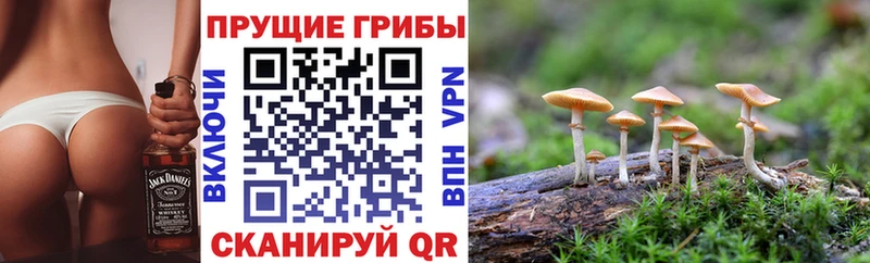 Галлюциногенные грибы прущие грибы  Тюкалинск 